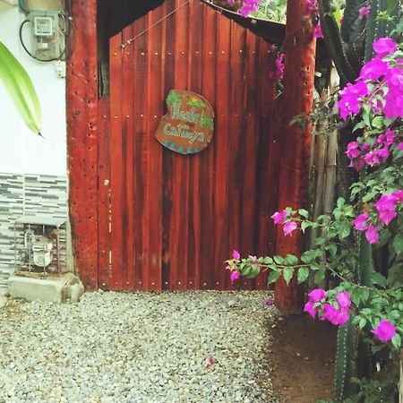 Hostel Cattleya Palomino Luaran gambar