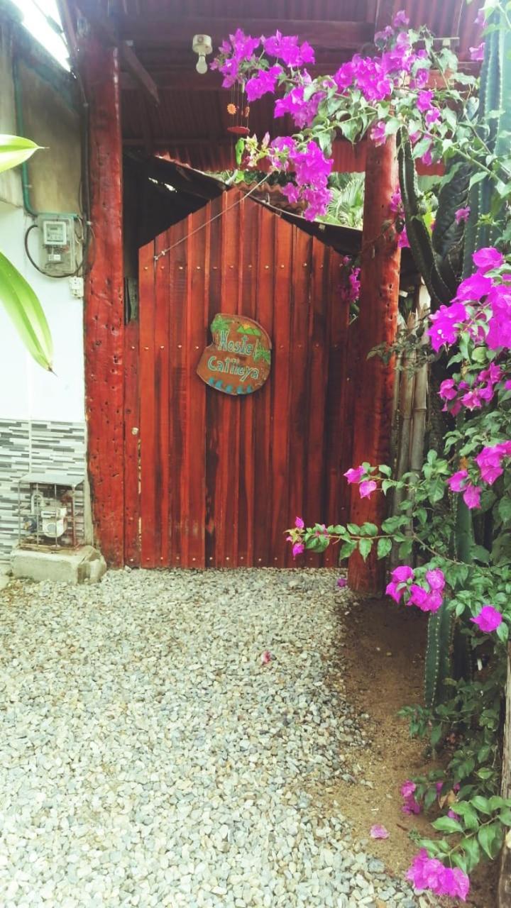 Hostel Cattleya Palomino Luaran gambar