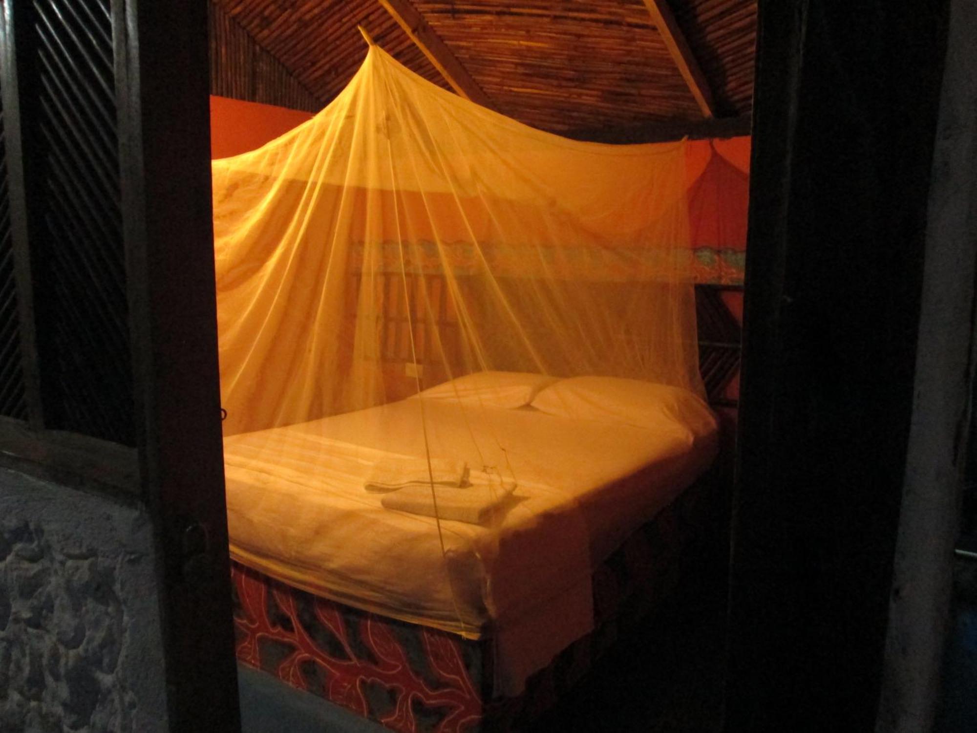 Hostel Cattleya Palomino Luaran gambar