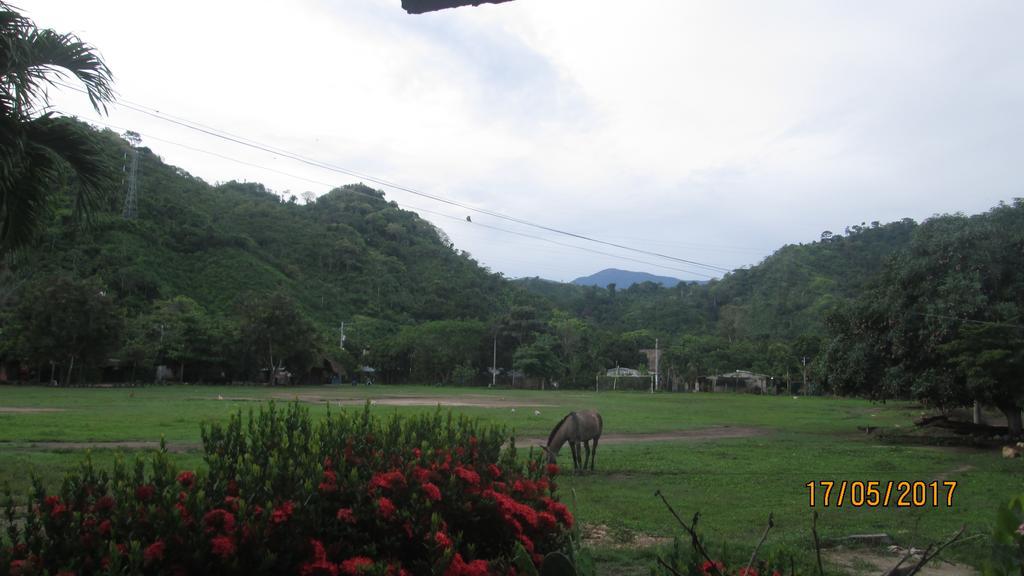 Hostel Cattleya Palomino Luaran gambar